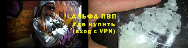 твердый Новодвинск
