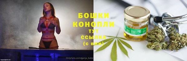 каннабис Новозыбков
