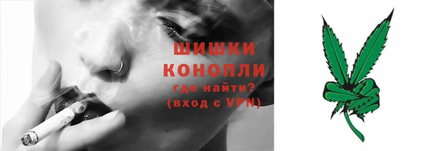 твердый Новодвинск
