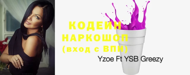 твердый Новодвинск
