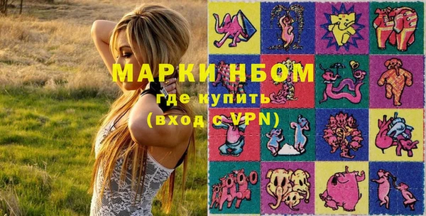 твердый Новодвинск