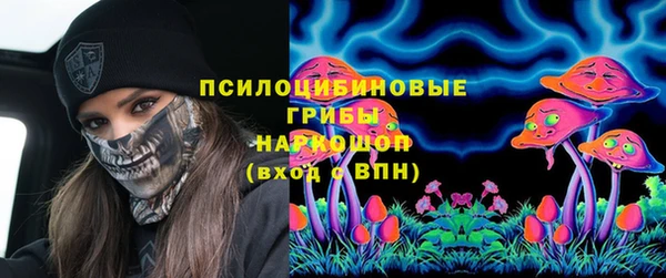 гашик Артём
