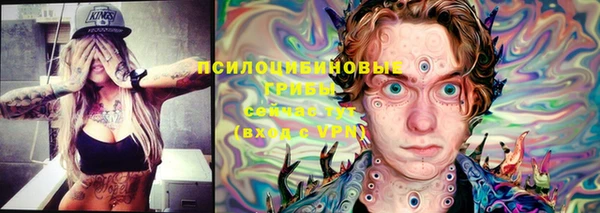 каннабис Новозыбков