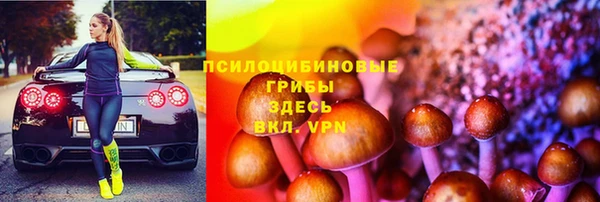 каннабис Новозыбков